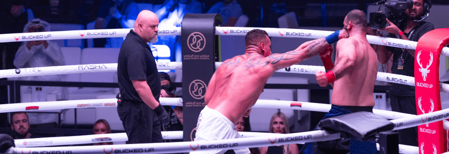 THE FIGHTS